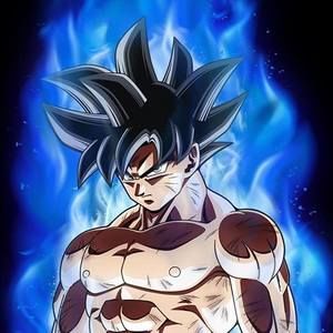 Meet your Posher, Connor